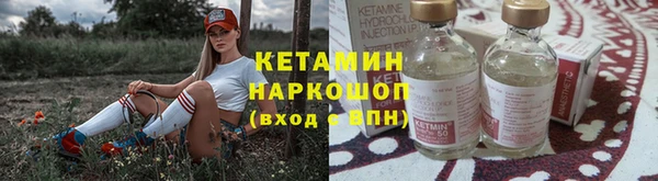 трава Аркадак