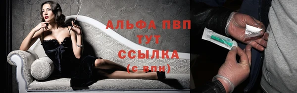 трава Аркадак