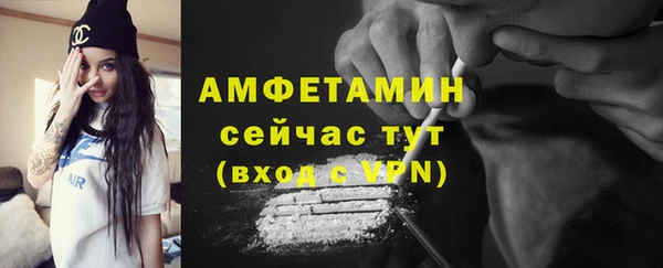 индика Арсеньев