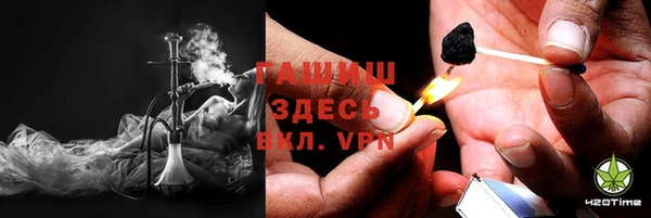 индика Арсеньев