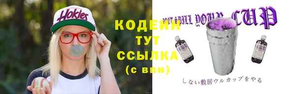 индика Арсеньев