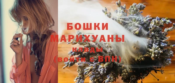 индика Арсеньев