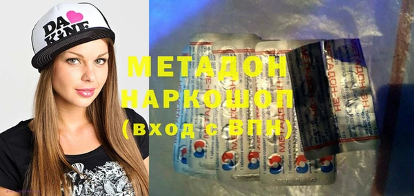 индика Арсеньев