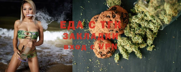 индика Арсеньев