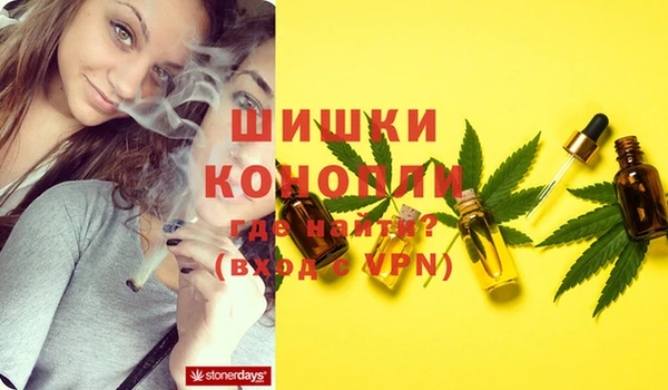 трава Аркадак