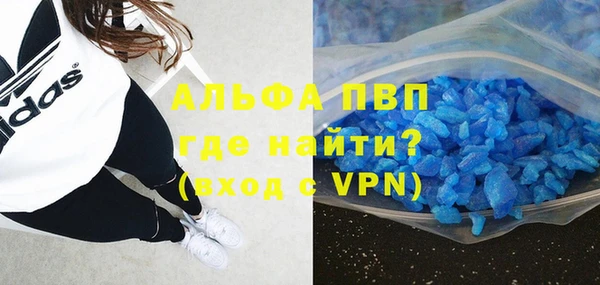 индика Арсеньев