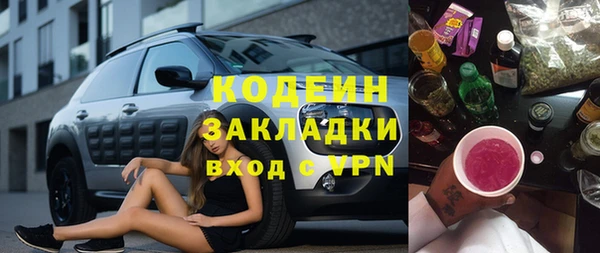 индика Арсеньев